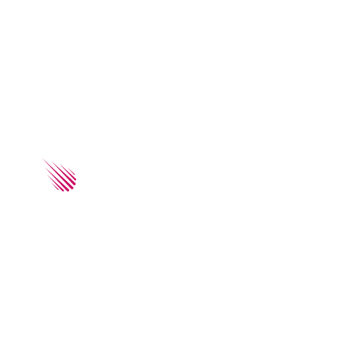 Transtar Hungary logó